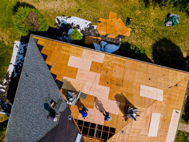 Best Roof Gutter Cleaning  in Charleston, MO