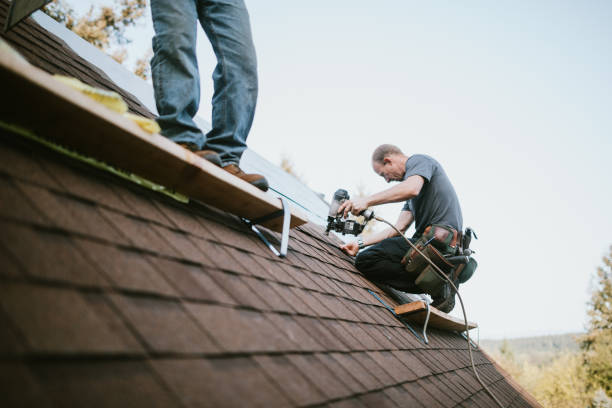 Best Roof Gutter Cleaning  in Charleston, MO